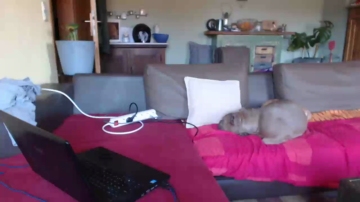BellaTaina 21-12-2021 Webcam 
